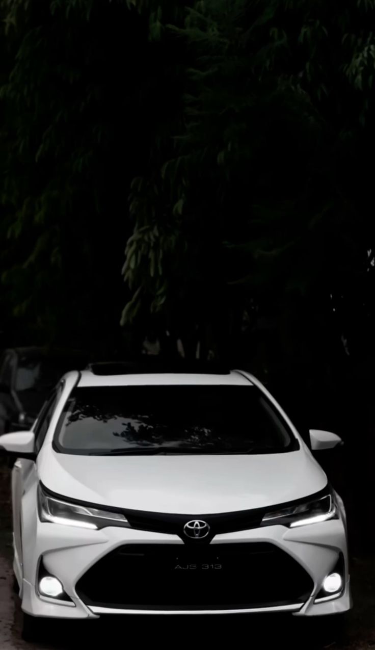Grande Altis x