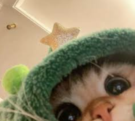 New_Pashion